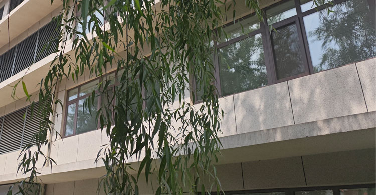 沈陽門窗制作廠家淺談斷熱鋁門窗有哪些優(yōu)點(diǎn)？